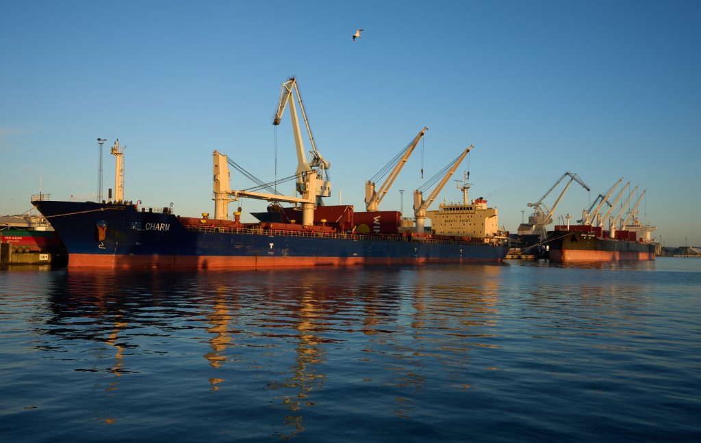 Aarhus Havn: Vi har et stort behov for udvidelse af vores areal