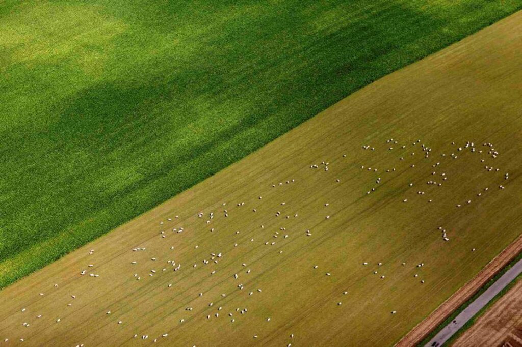 Lokale treparter kan også håndtere drikkevand